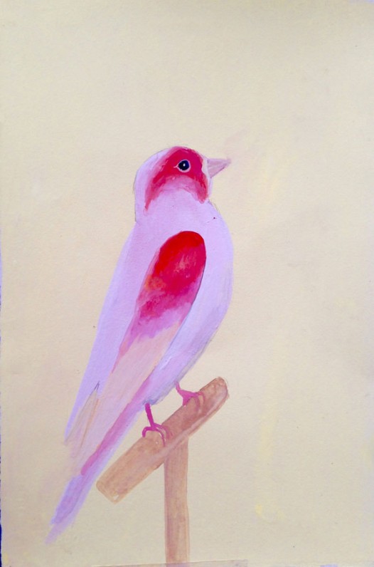 Pink Bird by Daisy Clarke