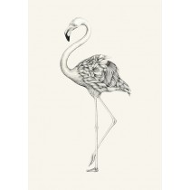 Flora Flamingo by Lauren Mortimer