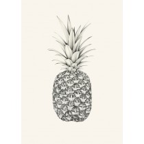 Papillon Pineapple by Lauren Mortimer