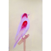 Pink Bird by Daisy Clarke