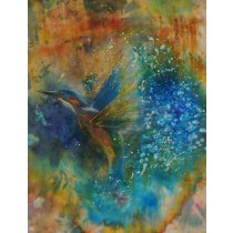 Kingfisher by Sonya White